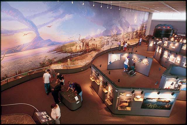 Museum of The Gulf Coast 